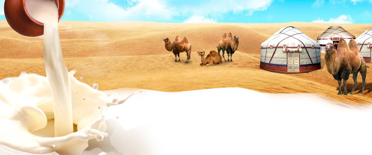 HR Solutions Franchise